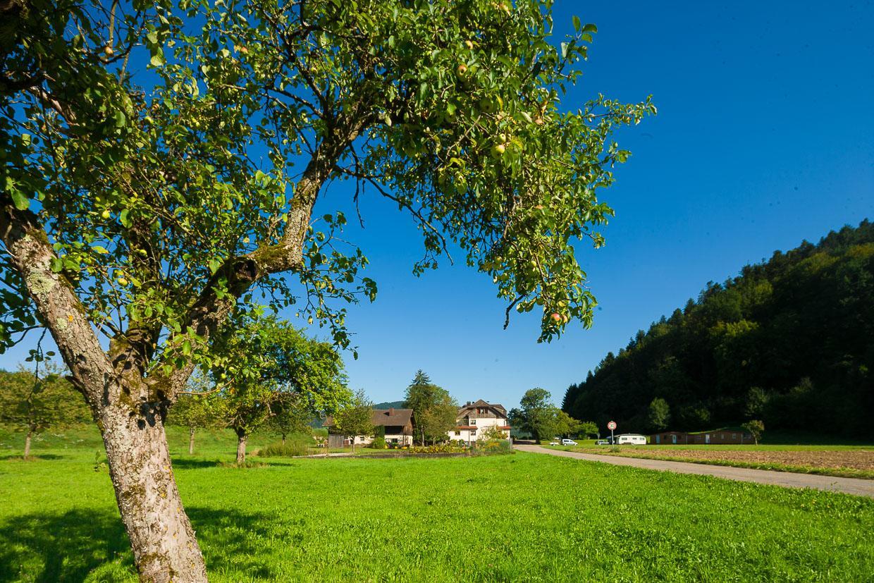 ביבראך Landgasthof Kinzigstrand מראה חיצוני תמונה
